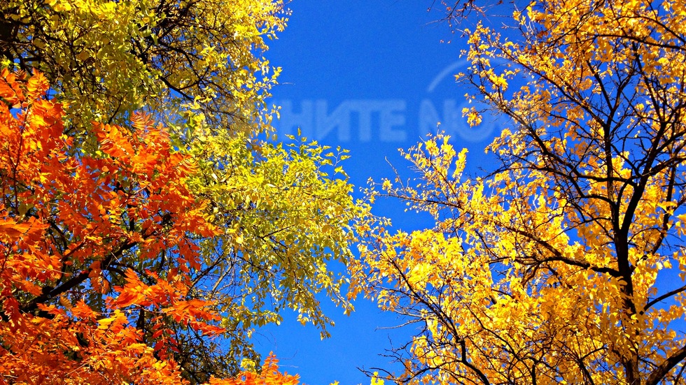 Топла есен под синьото октомврийско небе