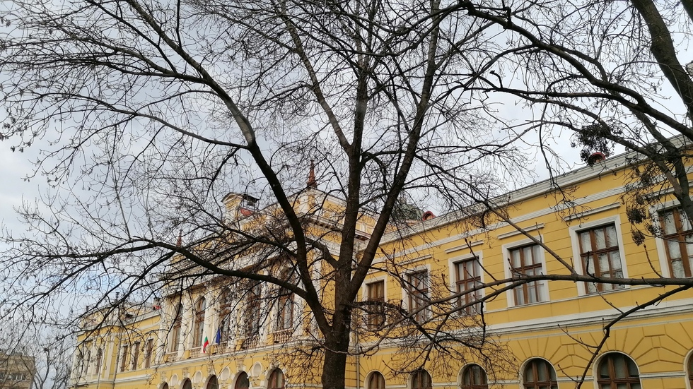 Свищов, Търговската гимназия