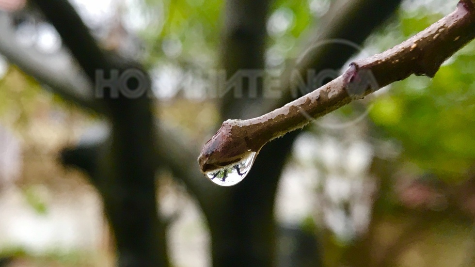 Дъждовна есен