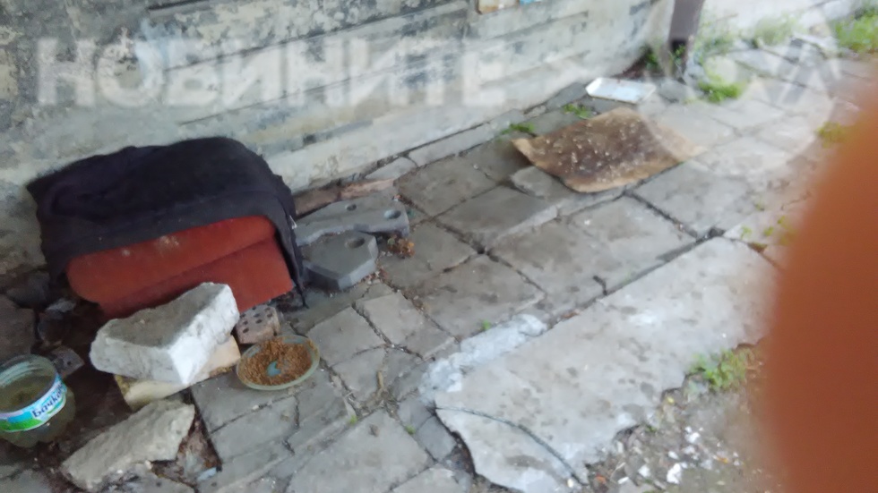 Мръсотия, смрад и бълхи в кварталите на Варна