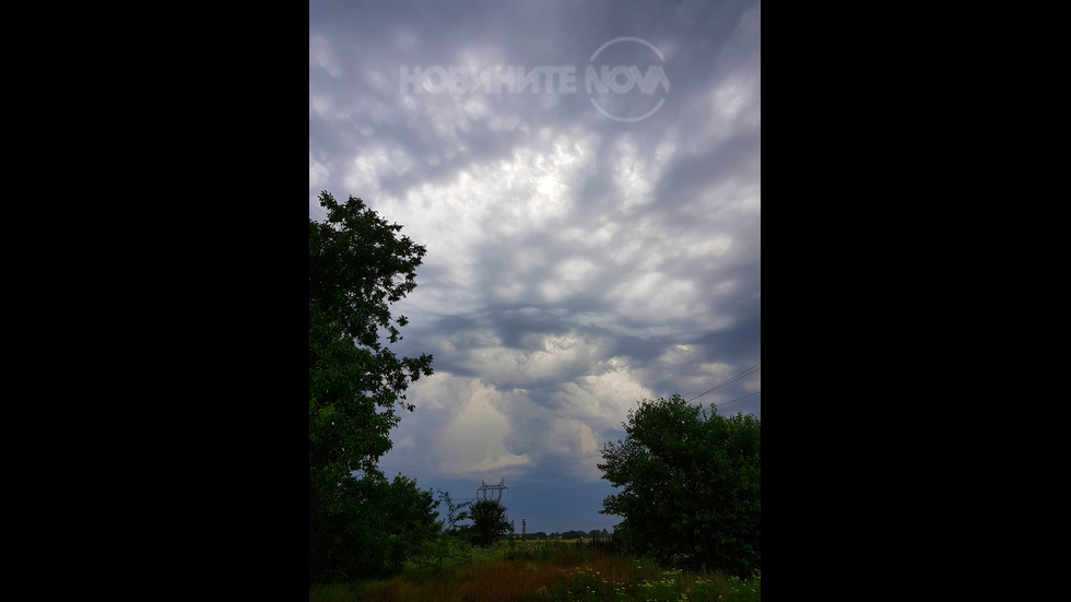 Изображение на куче и две ръце