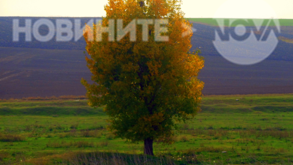 В очакване на лошото време