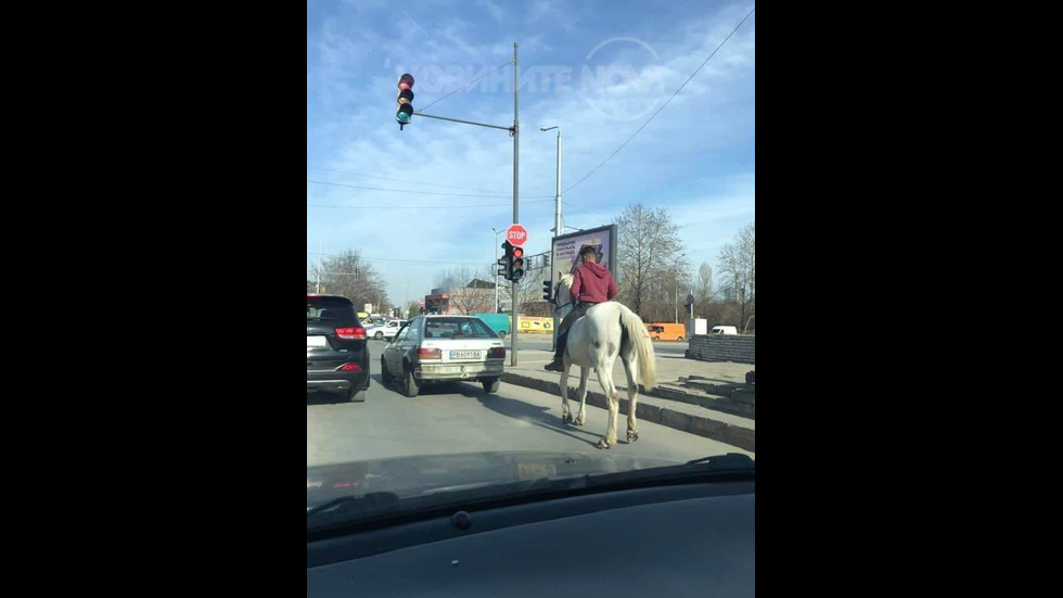 Принцът на белия кон е забелязан в Пловдив!