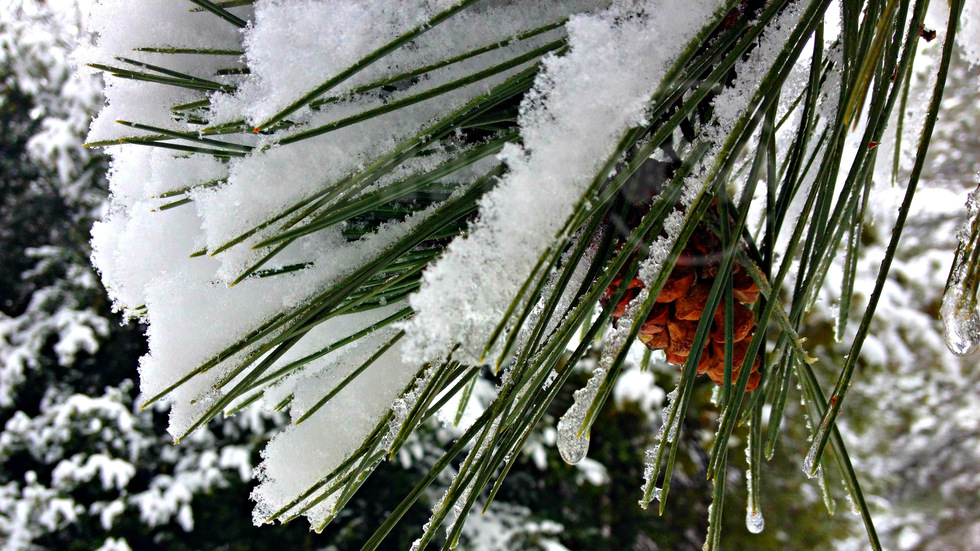 Снежно-ледена красота