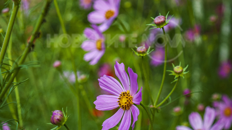 Честит нов месец август! Нека бъде весел, почивен и зареждащ!