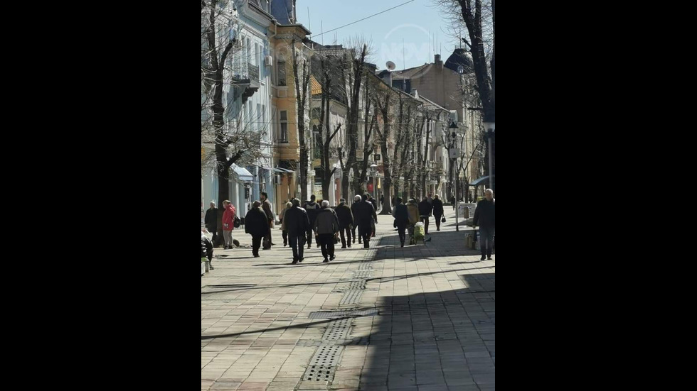 Глупост човешка в Плеевн