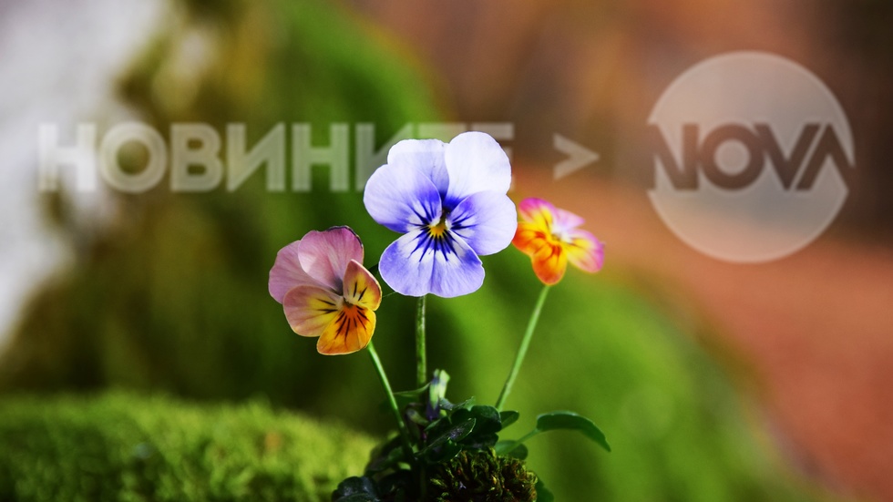 Неделния ден в Рила планина