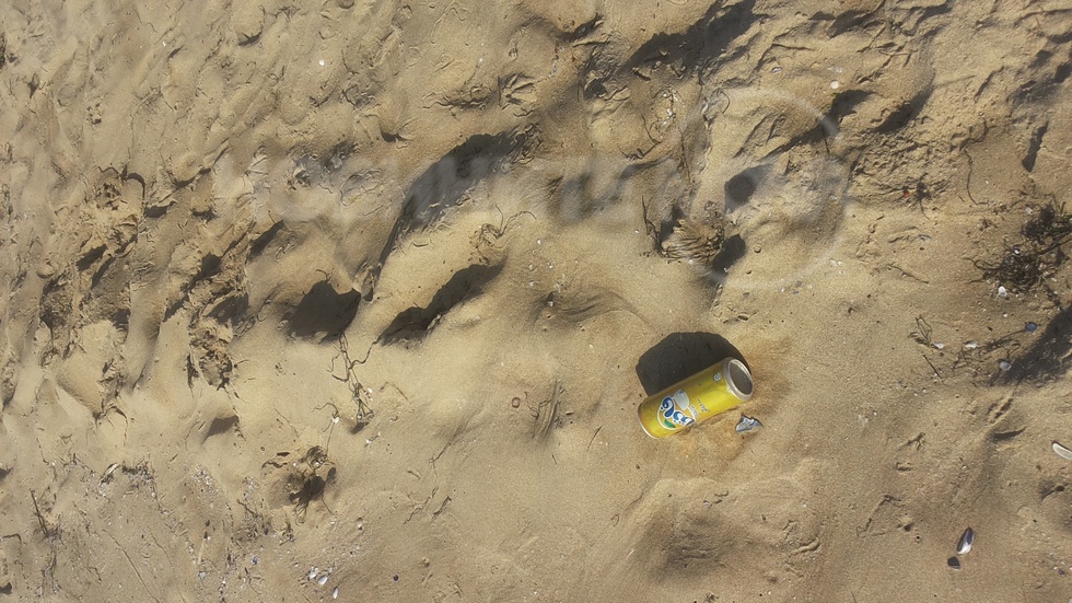 Кой ни е виновен за чистотата?