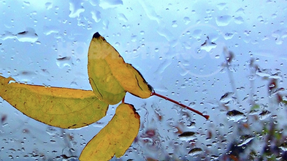 Есен зад дъждовното стъкло