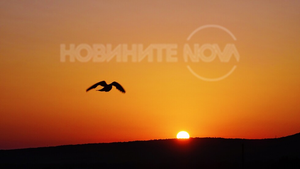 Изгрев ,Монтана