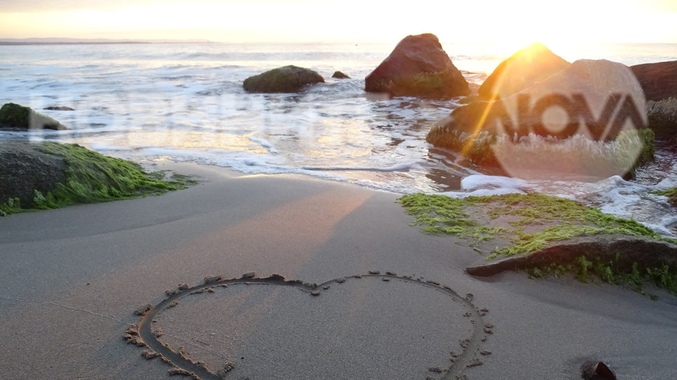 Денят на любовта