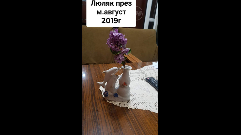 Това е букета на майка ми през август