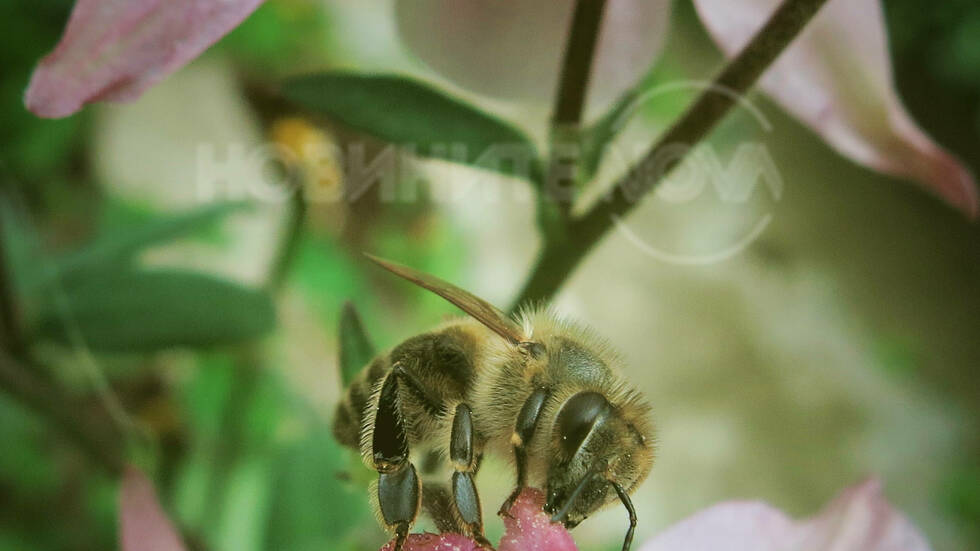 Красотата на природата...
