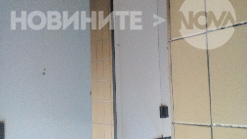 Прецедателсвото на ЕС в България