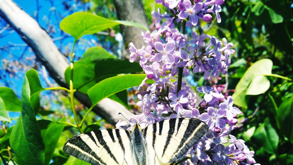 Красотата на природата...