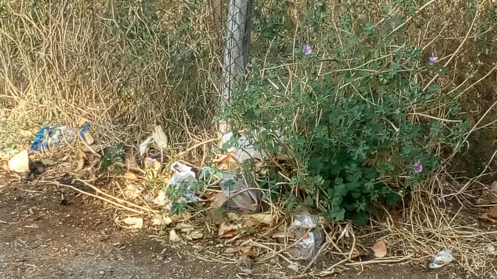 Сметище до стадиона на град Рила