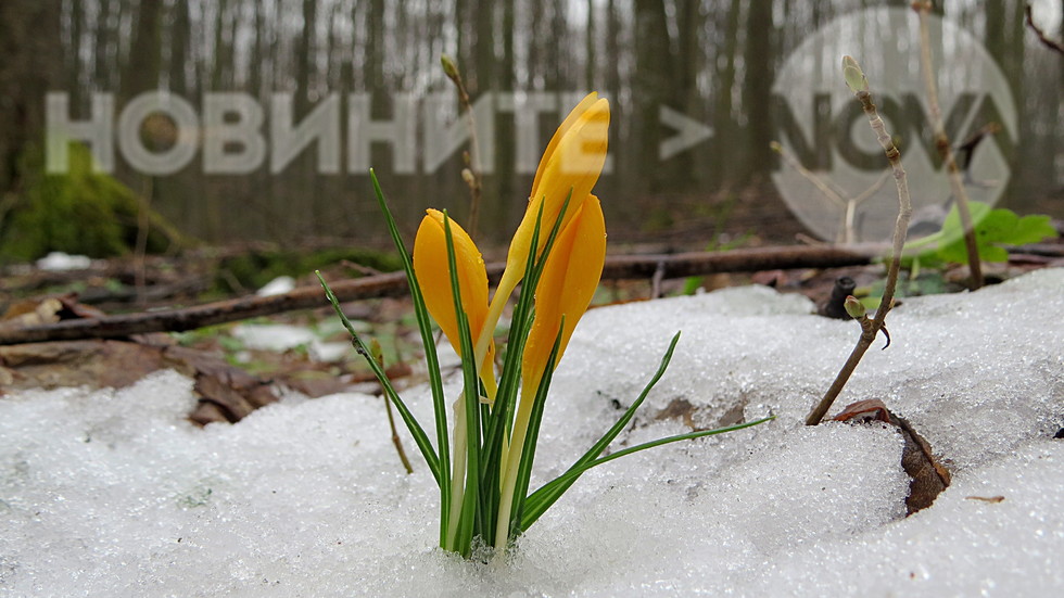 Горите в Разградско са още снежни!