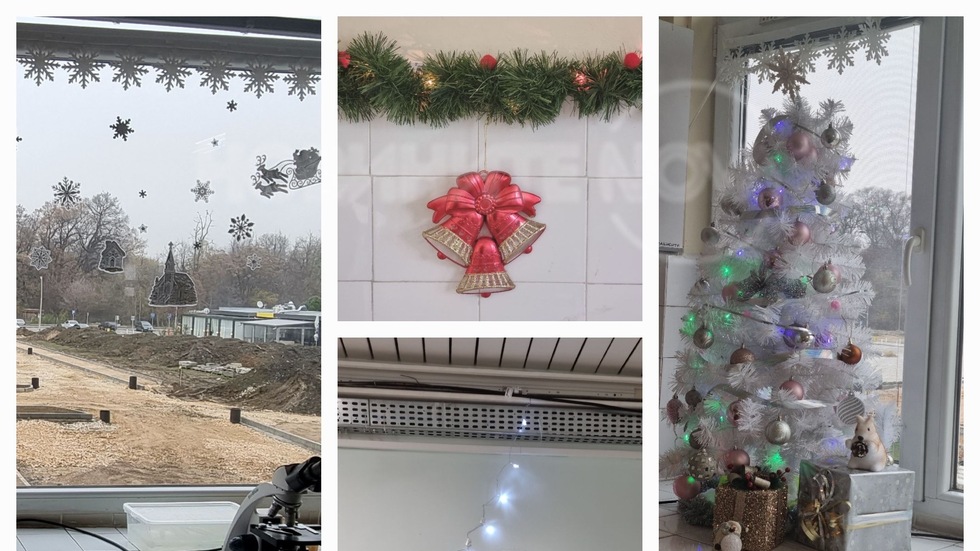 Коледната украса в Клинична лаборатория, УМБАЛ “Свети Георги” Пловдив