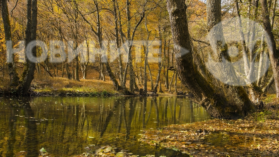 Есенна река