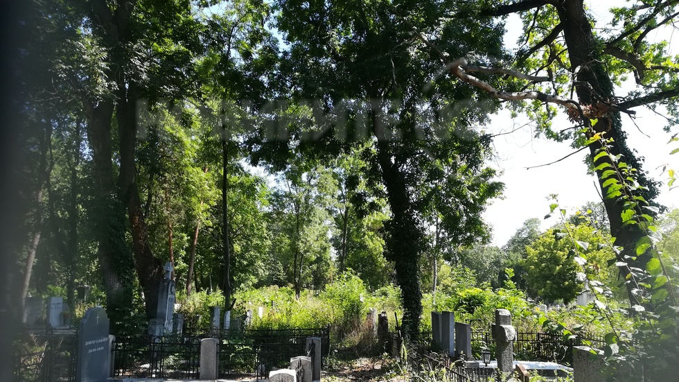 Централен гробищен парк