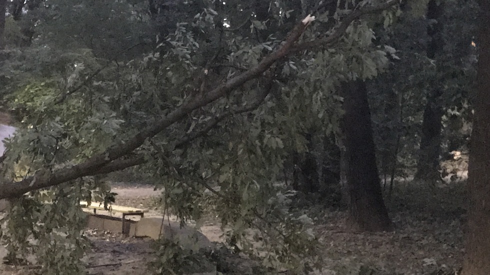 Дърво пада на детска площадка