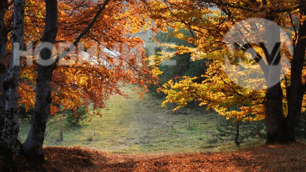 Красота в Осоговската планина