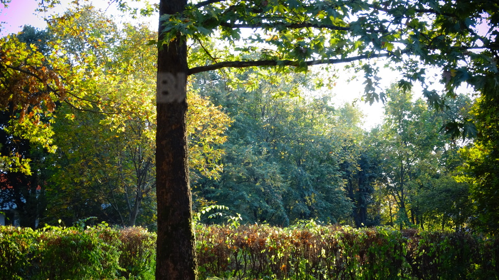 Есенен ден в парка!