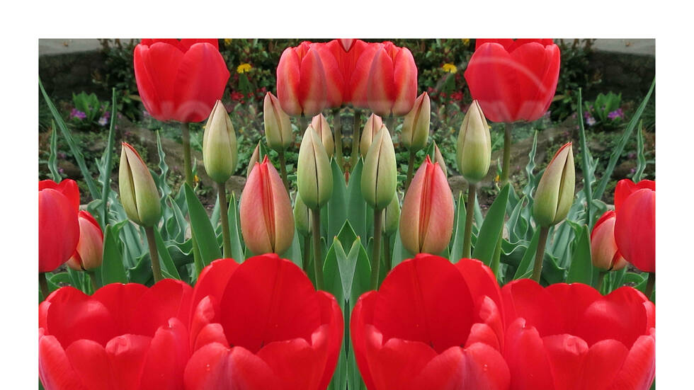 Красивата сила на природата...