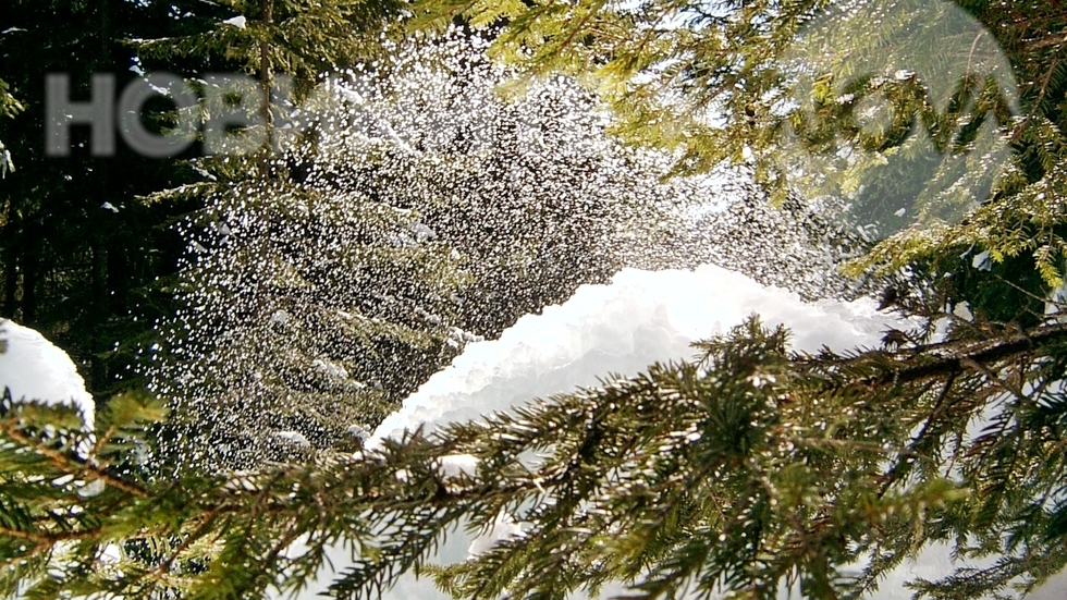 Красива снежна гледка от Боровец..