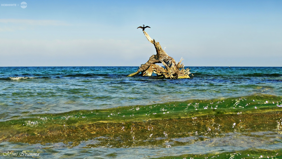 Вълшебно морско утро..