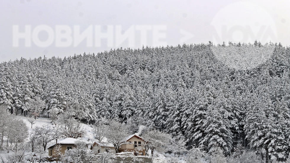 Село Зверино през зимата