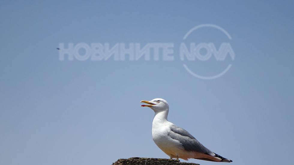 Наблюдател на...времето!