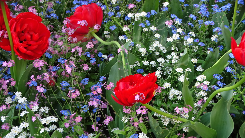 Довиждане на цветния април!