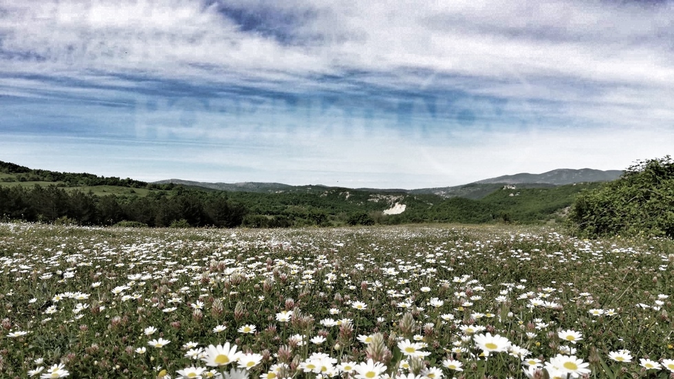 Красотата на Родопите