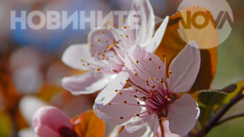 Пролет край Кюстендилско