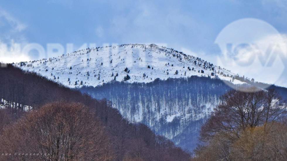 Осоговската планина