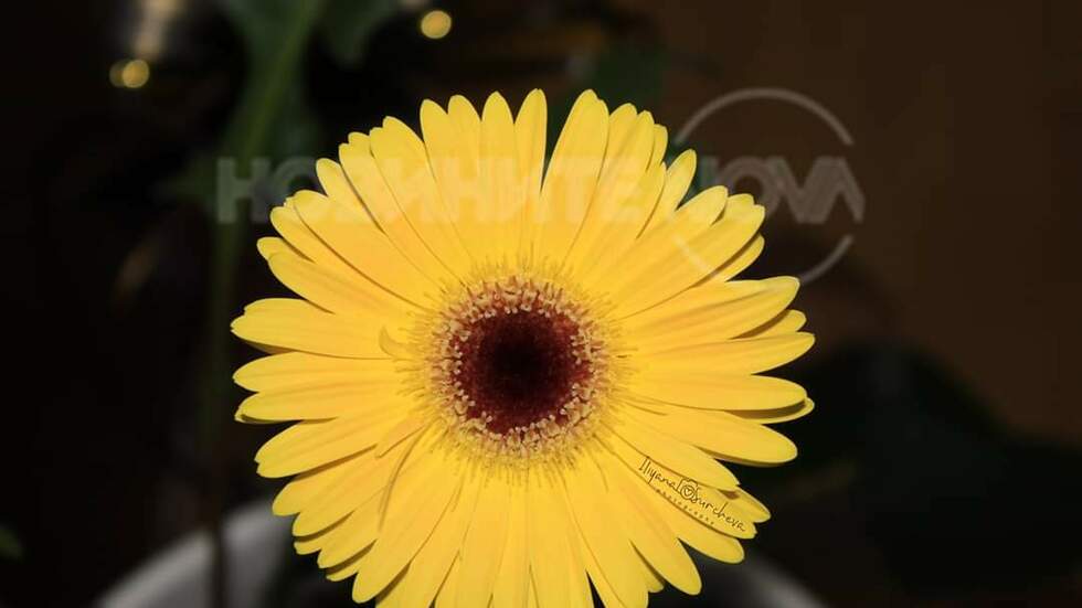 Усмихнете се!