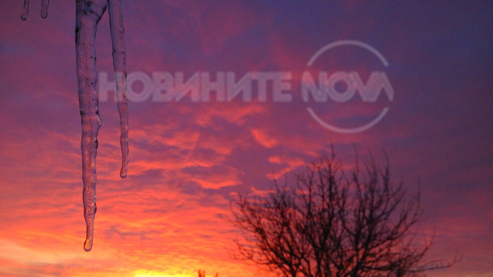 Зимно утро
