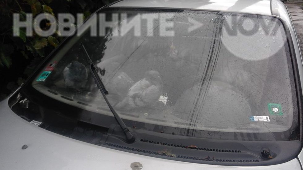 Модерно отглеждане на гълъби
