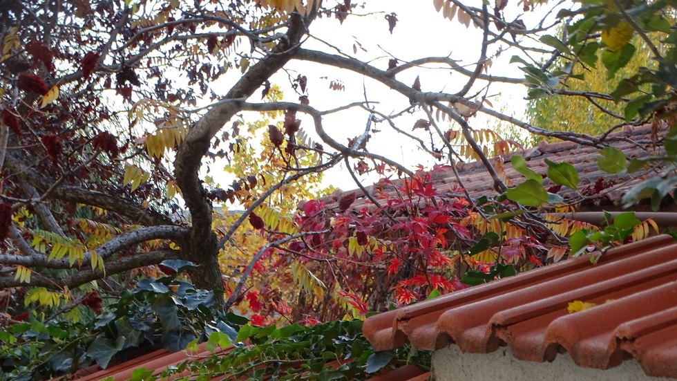 По покривите -красива есен!