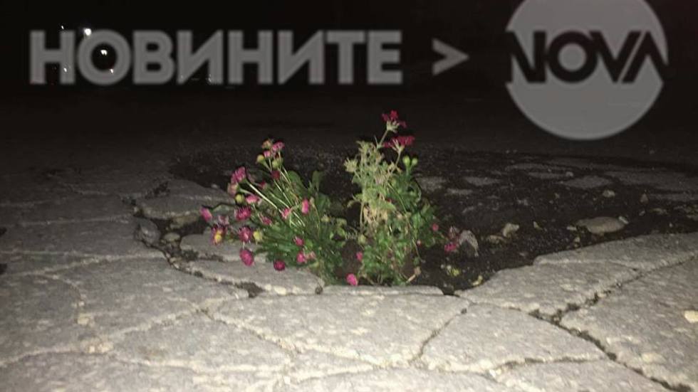 Граждани запълниха дупки по улиците с цветя