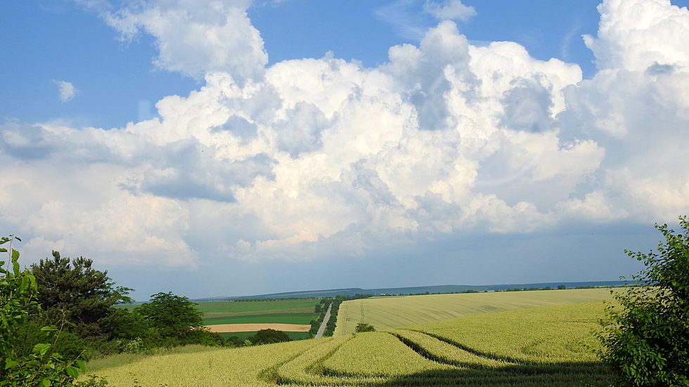 Прекрасни, юнски пейзажи!