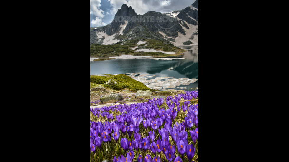 Рилска красота