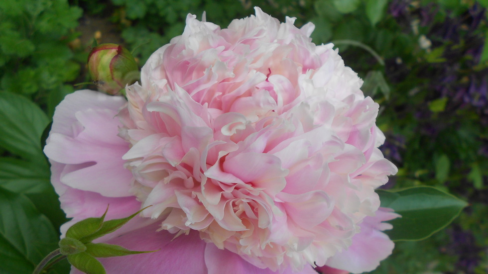 Довиждане, април!