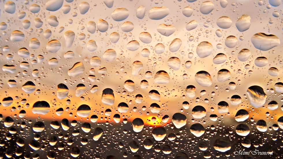 През прозорчето..