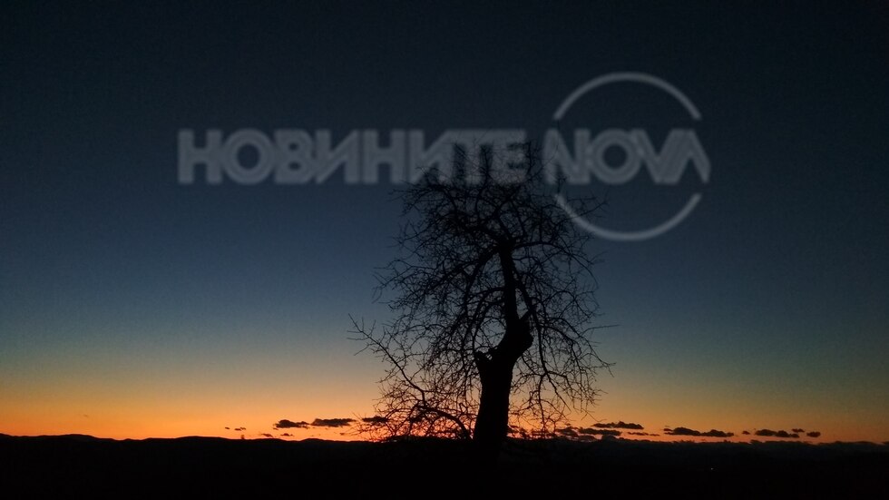 Залез