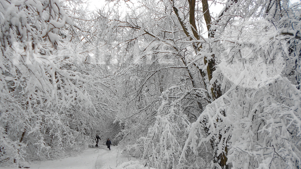 Бяла приказка