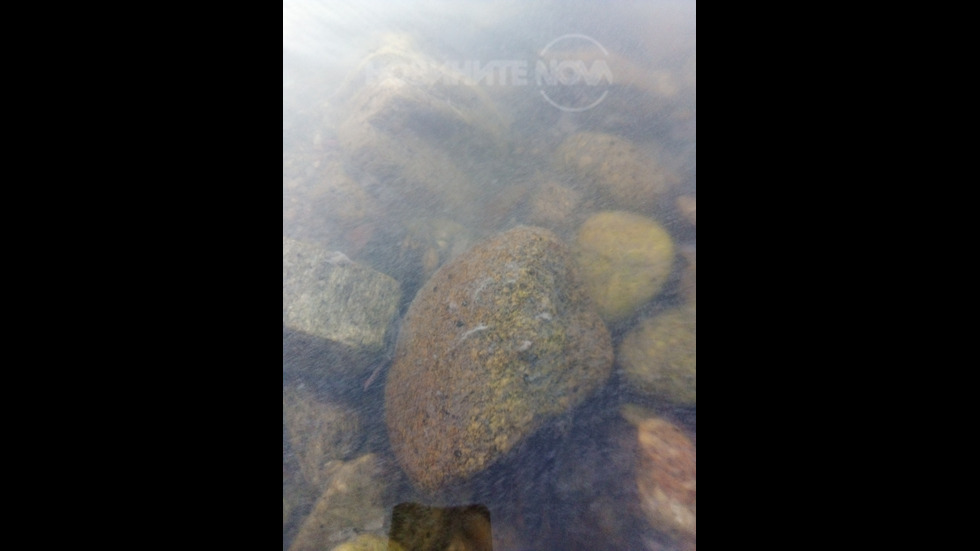 Замърсяване на река Марица в град Белово