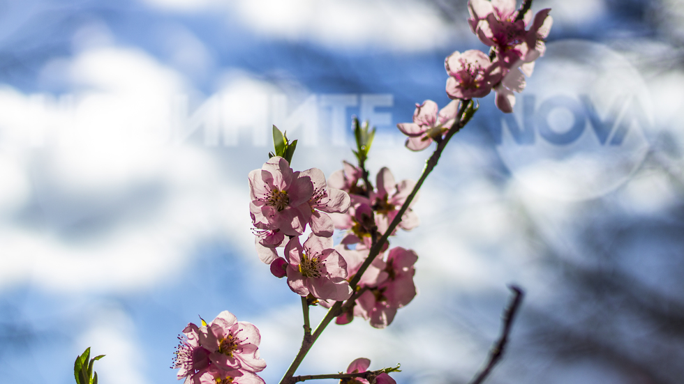 Пролетна приказка