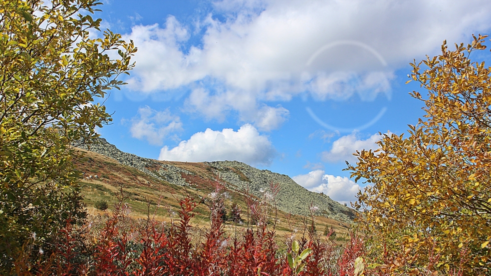 Есенно от Витоша